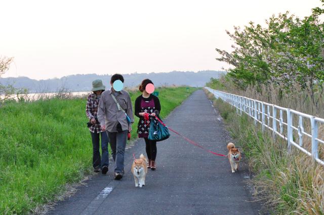 みんなでおさんぽ。_a0126590_10294667.jpg