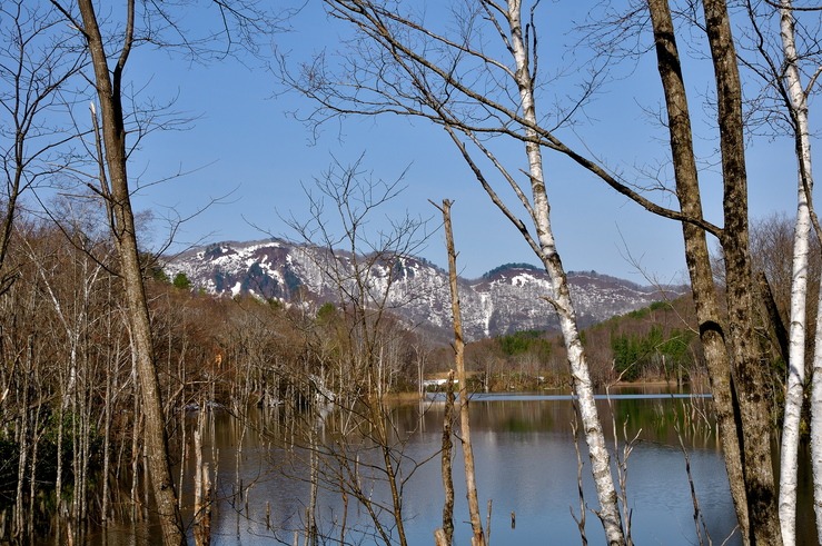 b0217090_9142124.jpg