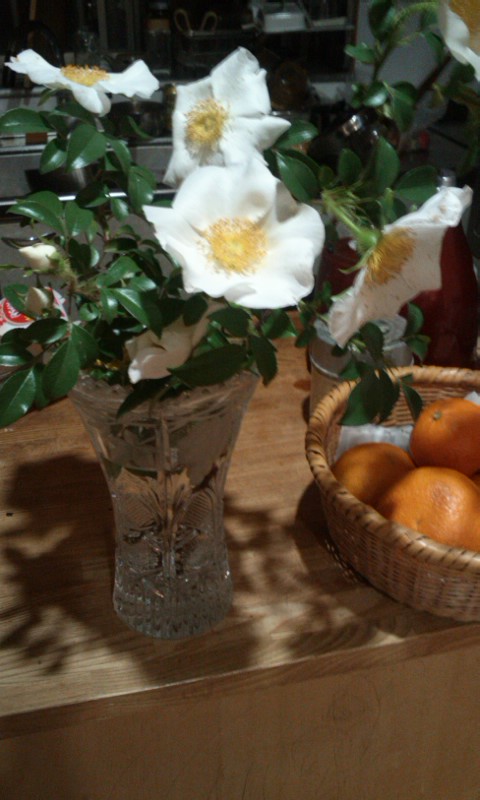 f0223290_21295951.jpg