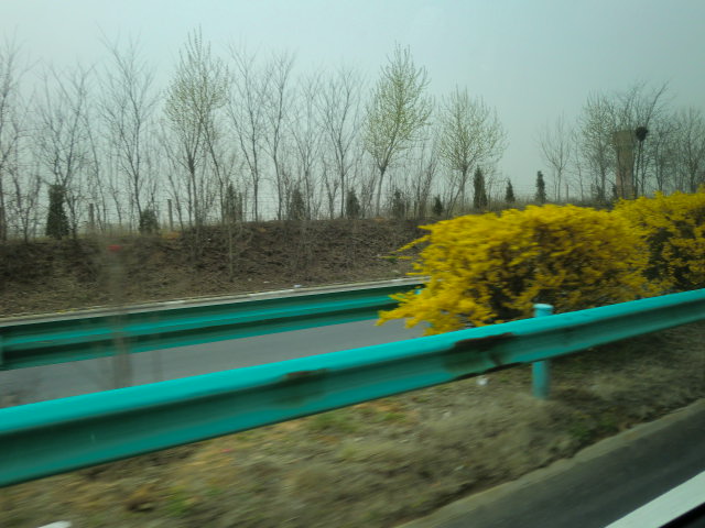b0044296_21735.jpg