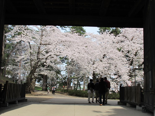 桜花爛漫、さくらまつりの史跡・弘前公園　２０１２．５．２・・・１０_c0075701_16454048.jpg