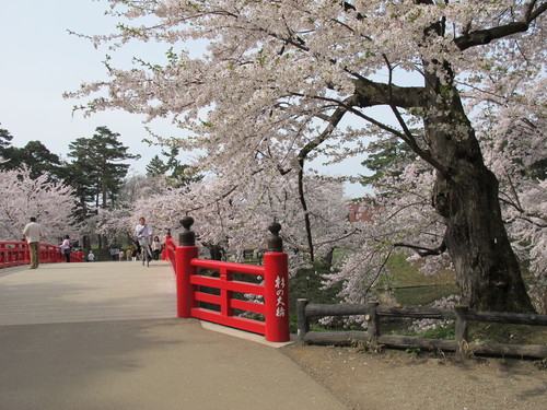 桜花爛漫、さくらまつりの史跡・弘前公園・・・１０_c0075701_16455111.jpg