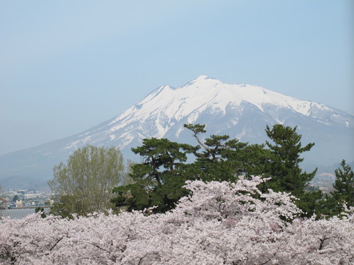 桜花爛漫、さくらまつりの史跡・弘前公園・・・１７_c0075701_20284591.jpg