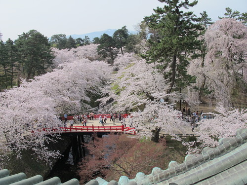 桜花爛漫、さくらまつりの史跡・弘前公園・・・１９_c0075701_20425165.jpg