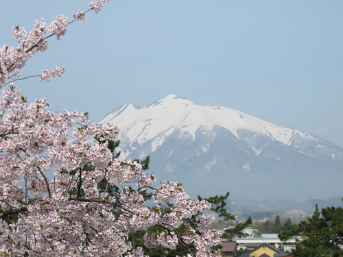 桜花爛漫、さくらまつりの史跡・弘前公園・・・２４_c0075701_21384033.jpg