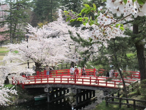 桜花爛漫、さくらまつりの史跡・弘前公園・・・２６_c0075701_2158625.jpg