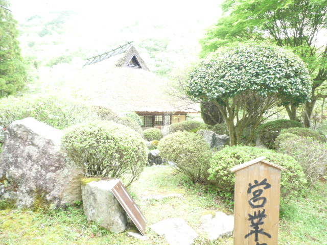 e0190502_151136.jpg