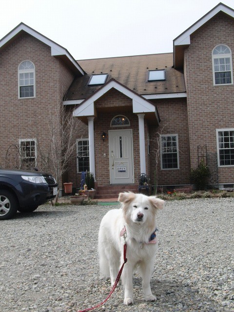 a0032004_221560.jpg