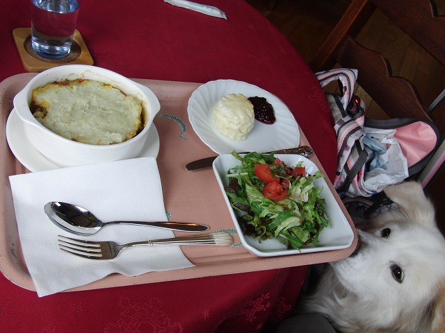 a0032004_235815.jpg