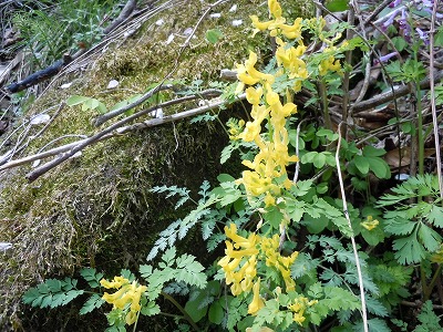c0117007_23173816.jpg