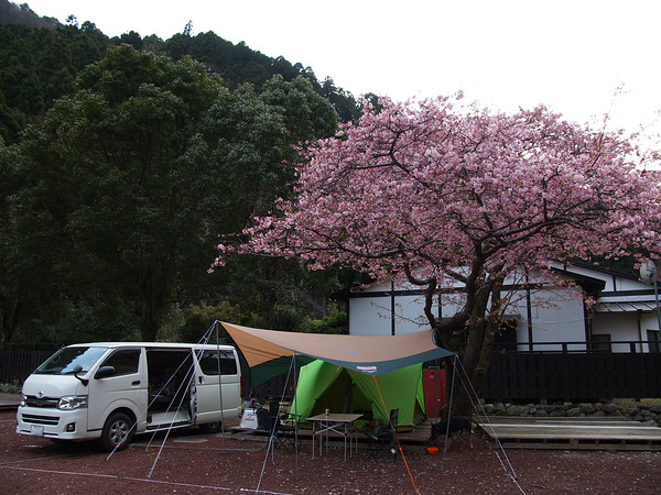 ハクト初めての伊豆早春キャンプ１（河津七滝オートキャンプ場）_f0180607_2141234.jpg