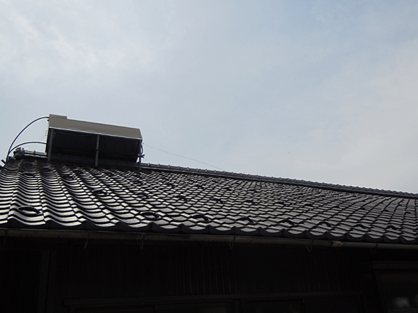 b0159611_059245.gif