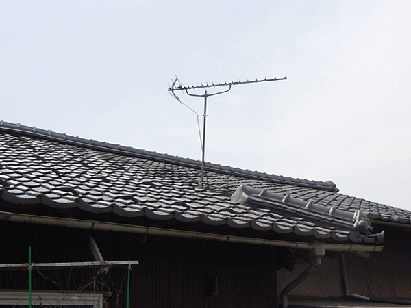 b0159611_10836.gif