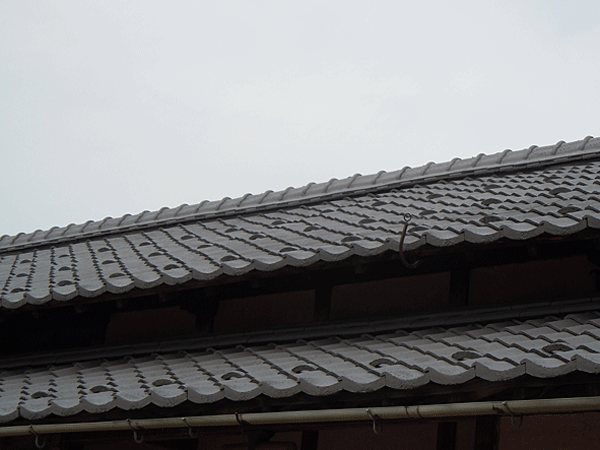 b0159611_12127.gif