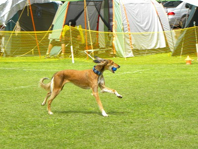 e0204314_2303153.jpg