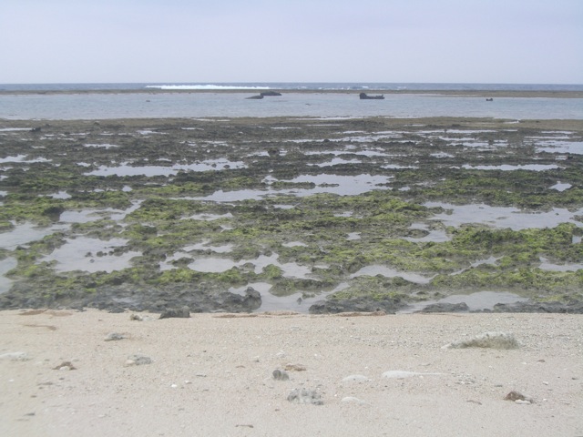 b0181015_17163176.jpg