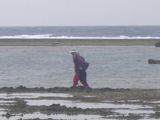 b0181015_17164382.jpg