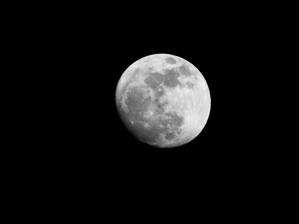 d0192516_21265720.jpg