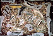 a0113718_1092135.jpg