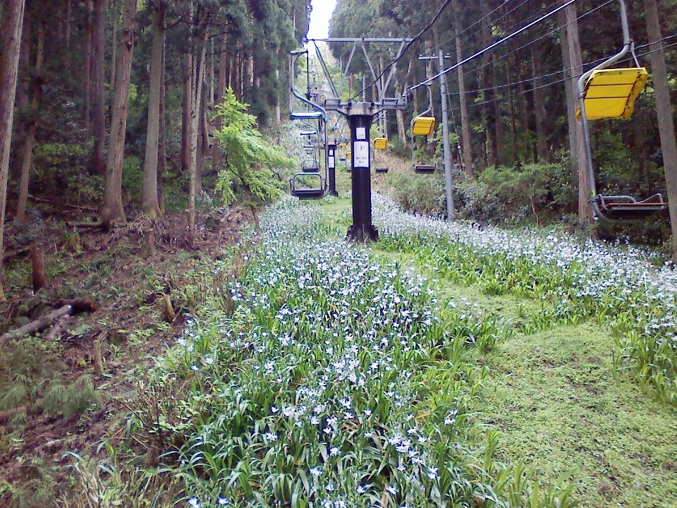 c0223419_21173748.jpg
