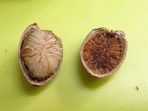 f0232920_13511241.gif