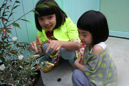 a0059233_12172899.jpg
