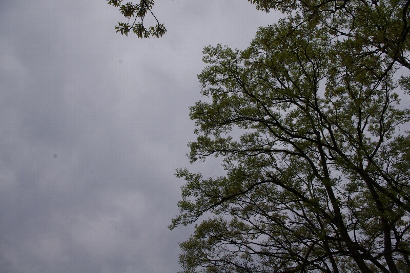 c0113733_034678.jpg