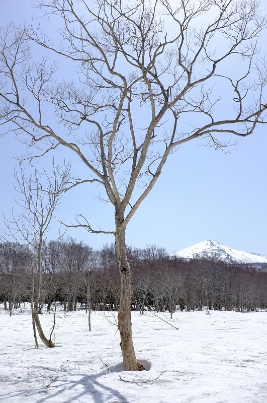 鳥海山ブルーライン　東北ツーリングDAY3_f0050534_1903737.jpg