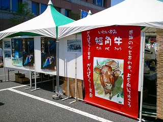 あきしま環境緑花フェスティバル_b0206037_18282819.jpg