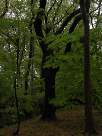d0124643_11373279.jpg