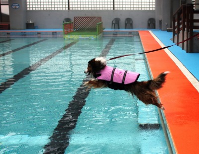 WOOFで嬉しい再会_e0195743_124272.jpg