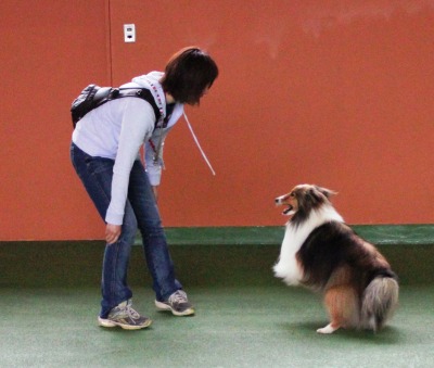 WOOFで嬉しい再会_e0195743_1254383.jpg
