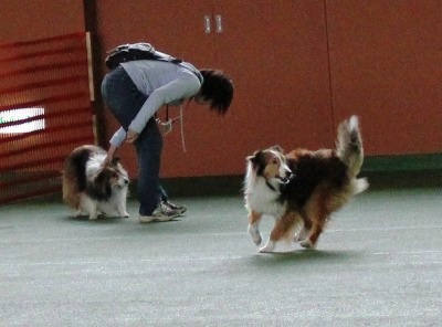 ＷＯＯＦで嬉しい再会_e0195743_1262739.jpg