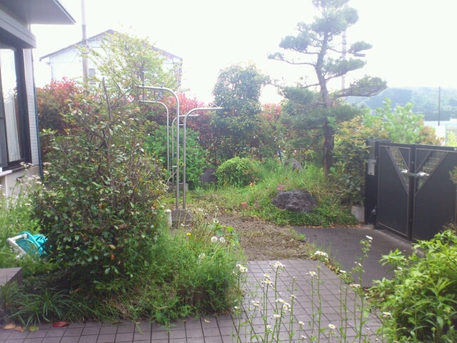 b0088444_21495535.jpg