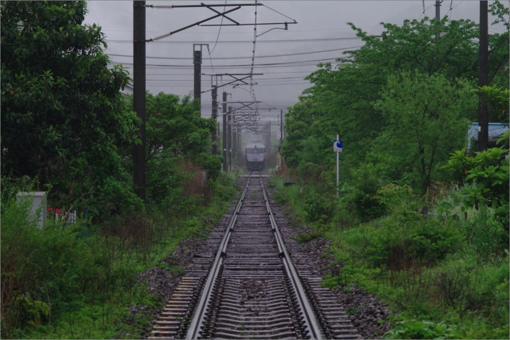 d0058445_2041310.jpg