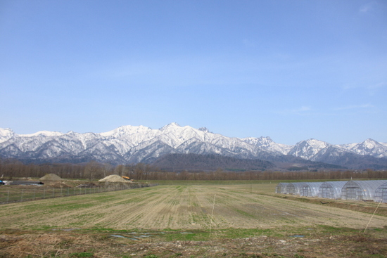 e0028650_22444277.jpg