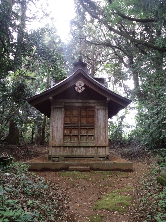 鹿島神宮お田植え祭_d0082655_22555416.jpg