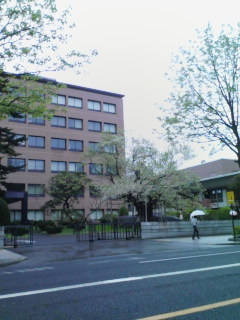 f0091057_8591345.jpg