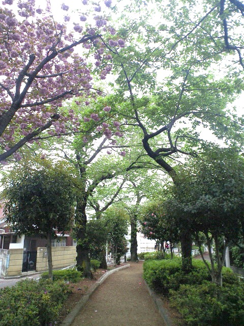 f0054859_1736426.jpg