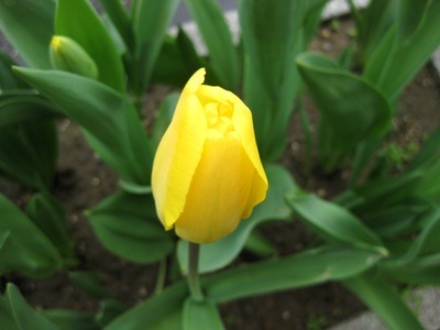 c0190960_8161317.jpg