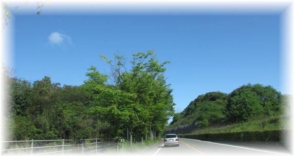 GWだけど・・・!_d0175974_20505349.jpg