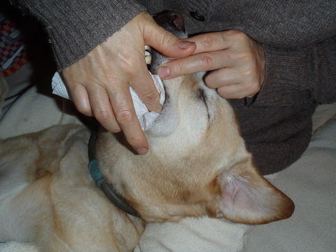 f0052277_103278.jpg
