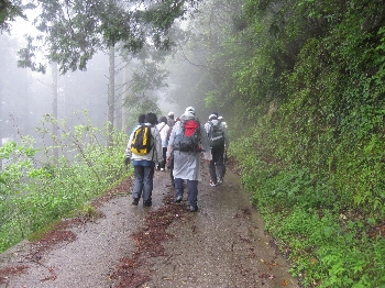 ５月３日「高森山から法華津峠　６３４ｍ～４３６ｍ」_f0003283_1505610.jpg