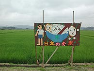 d0247484_1641949.jpg