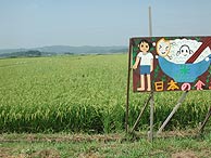 9月1日の田んぼ(緑が丘小・北郷小)_d0247484_201210.jpg