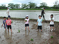 田植え体験前日(緑が丘小・北郷小)_d0247484_2052313.jpg