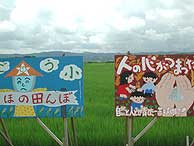 7月19日の田んぼ(緑が丘小・北郷小)_d0247484_21312664.jpg