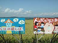 10月4日の田んぼ(緑が丘小・北郷小)_d0247484_229335.jpg