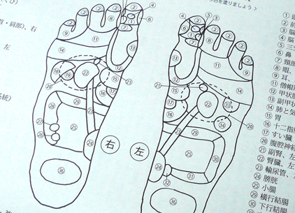 反射区図の塗り絵_d0177587_125129.jpg