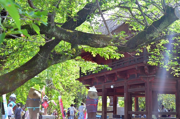 キャンセル待ち受付中とのことです。初夏のバラ園巡り・バスツアー_d0099791_233594.jpg